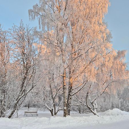 Tilava Uudistettu Perheasunto Leilighet Rovaniemi Eksteriør bilde